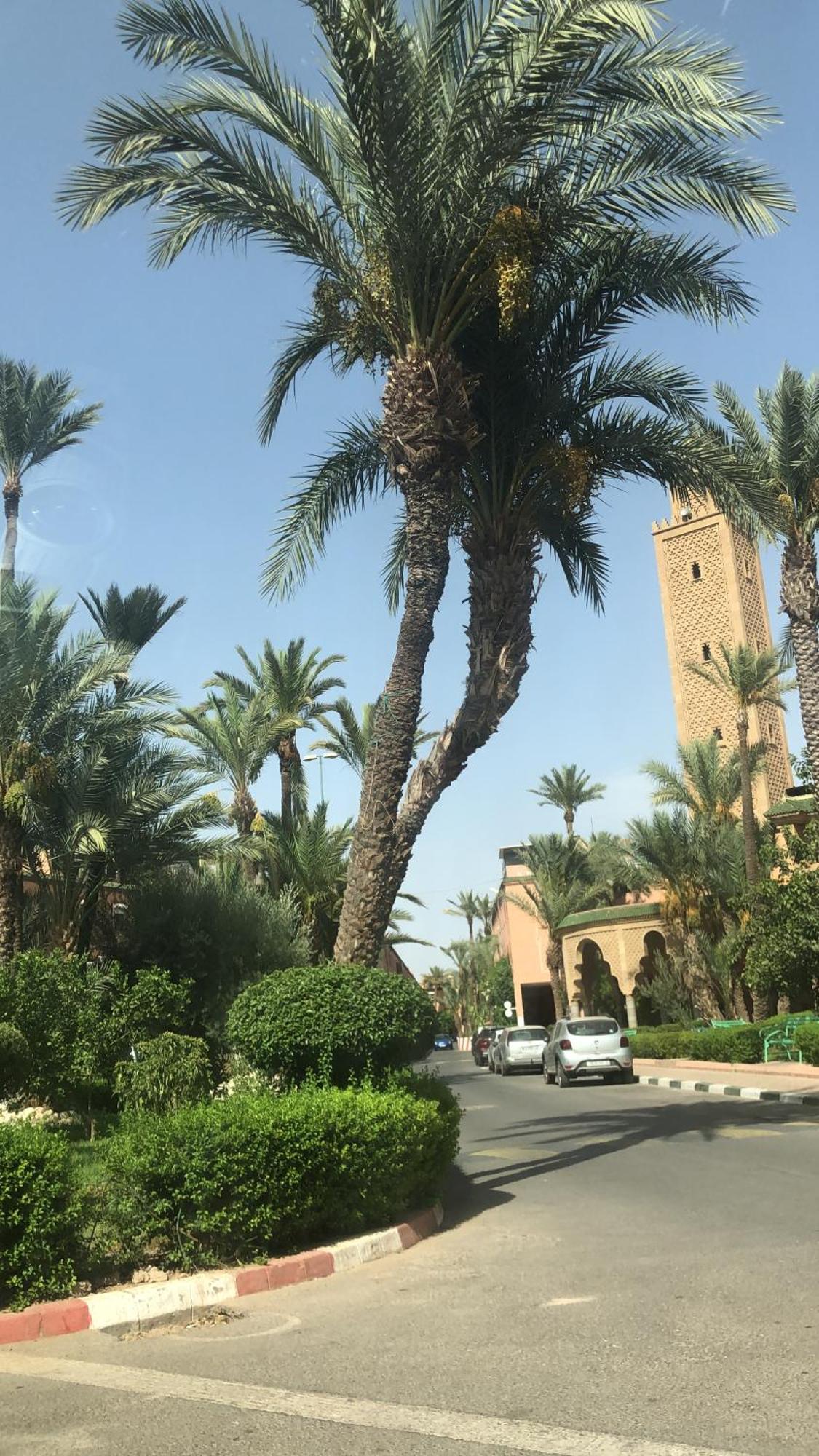 Сasa de vacaciones Lyna Marrakesh